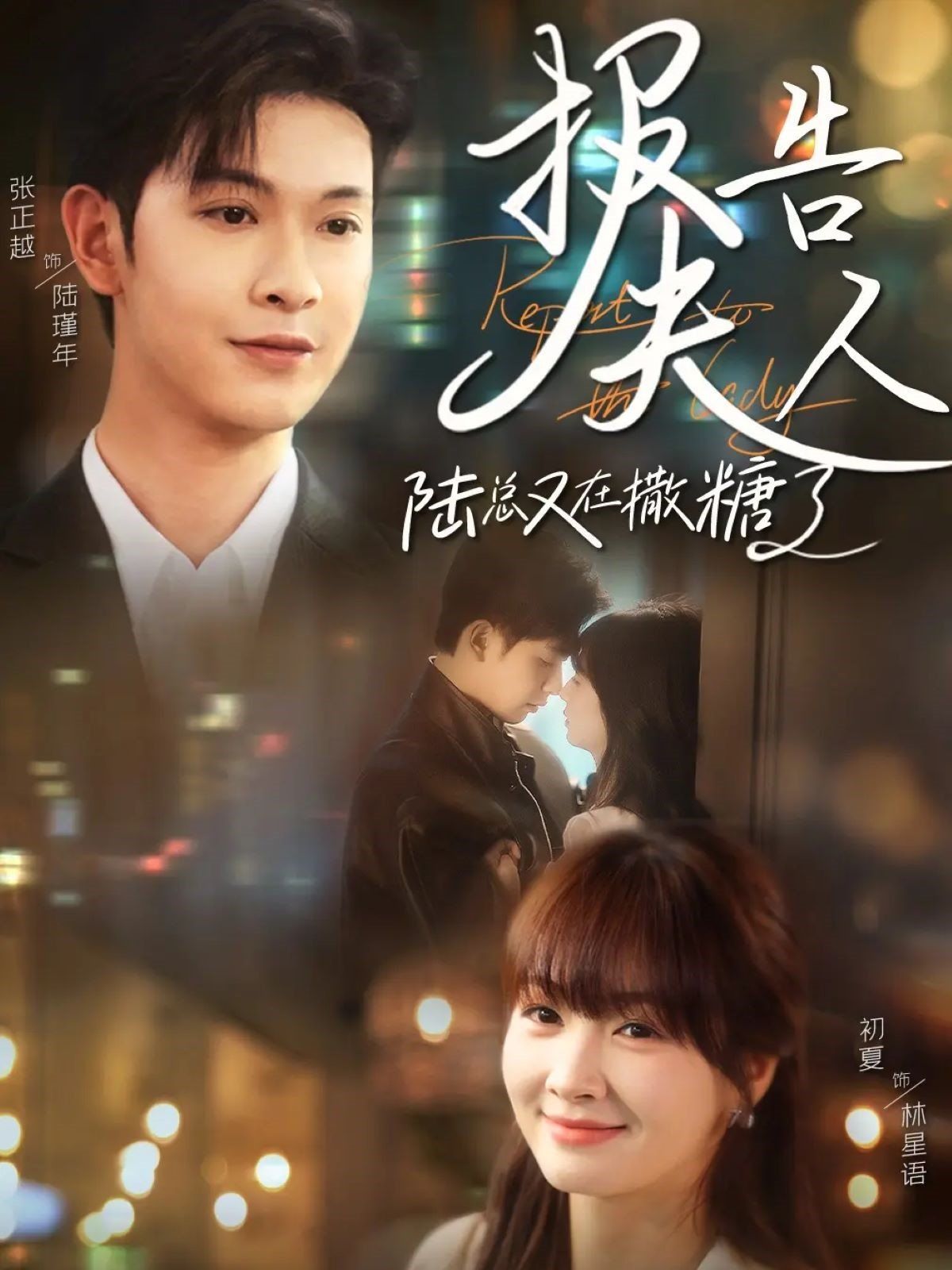 《报告夫人陆总又在撒糖了》海报