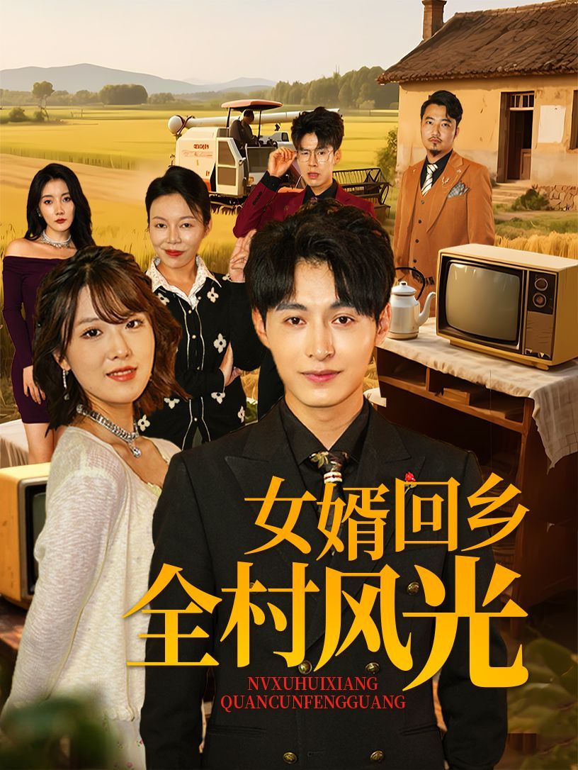 《女婿回乡全村风光》海报
