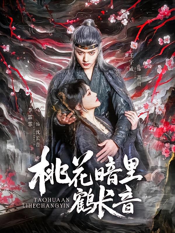 《桃花暗里鹤长音》海报