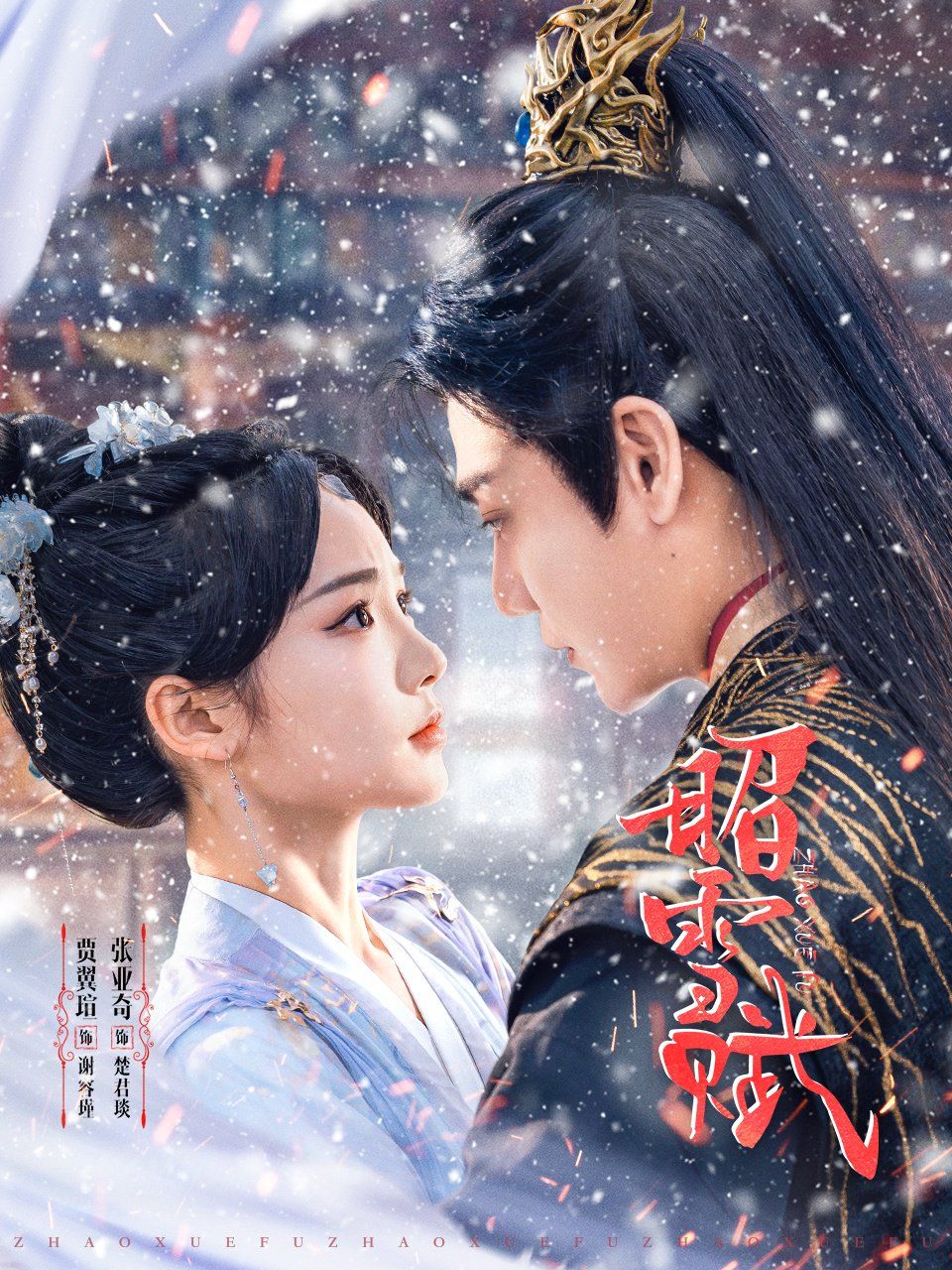 《昭雪赋》海报