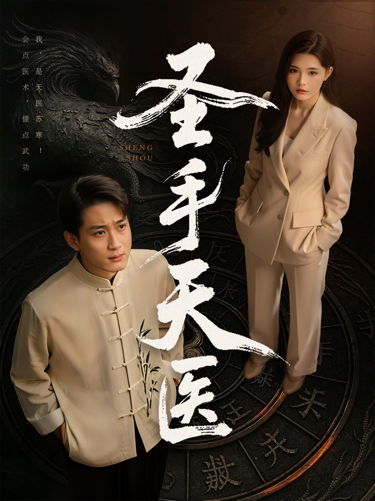 《圣手天医》海报