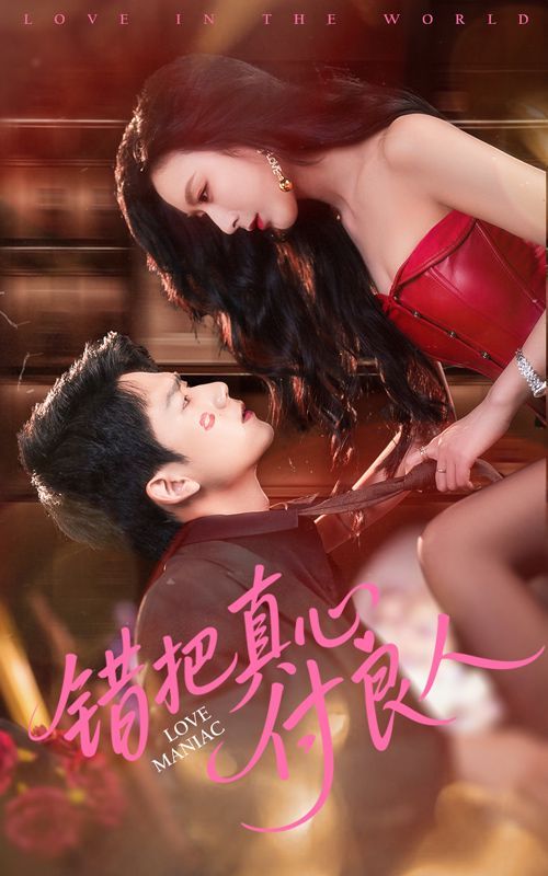 《错把真心付良人》海报