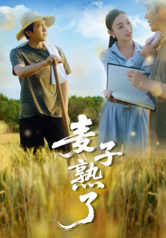 《麦子熟了》海报