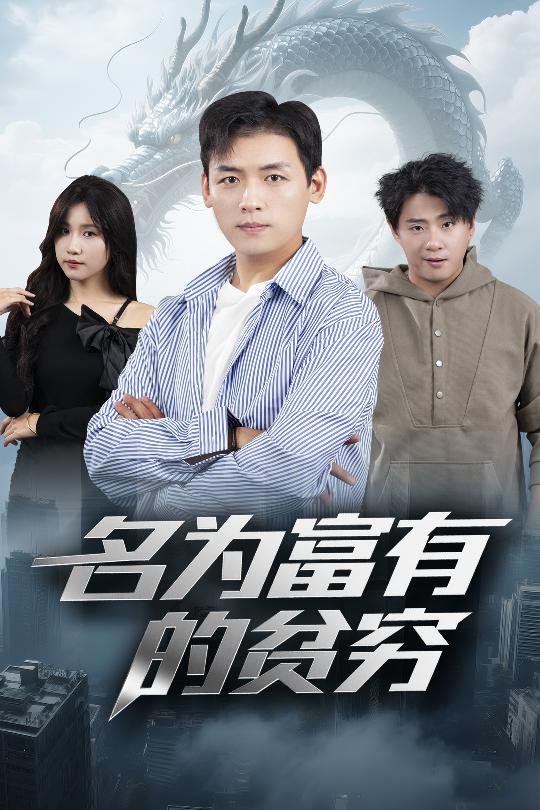 《名为富有的贫穷》海报