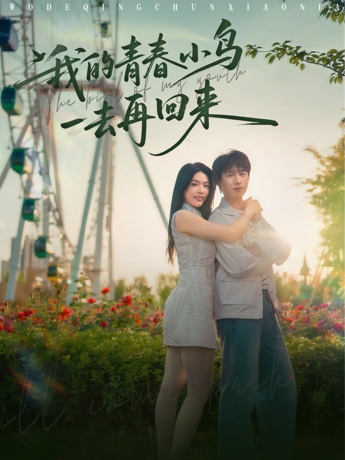 《我的青春小鸟一去再回来》海报