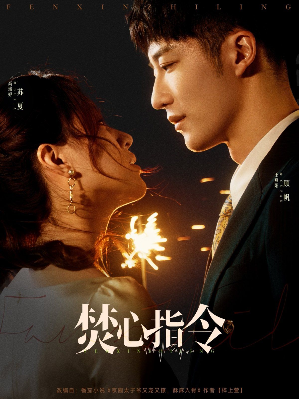 《焚心指令》海报