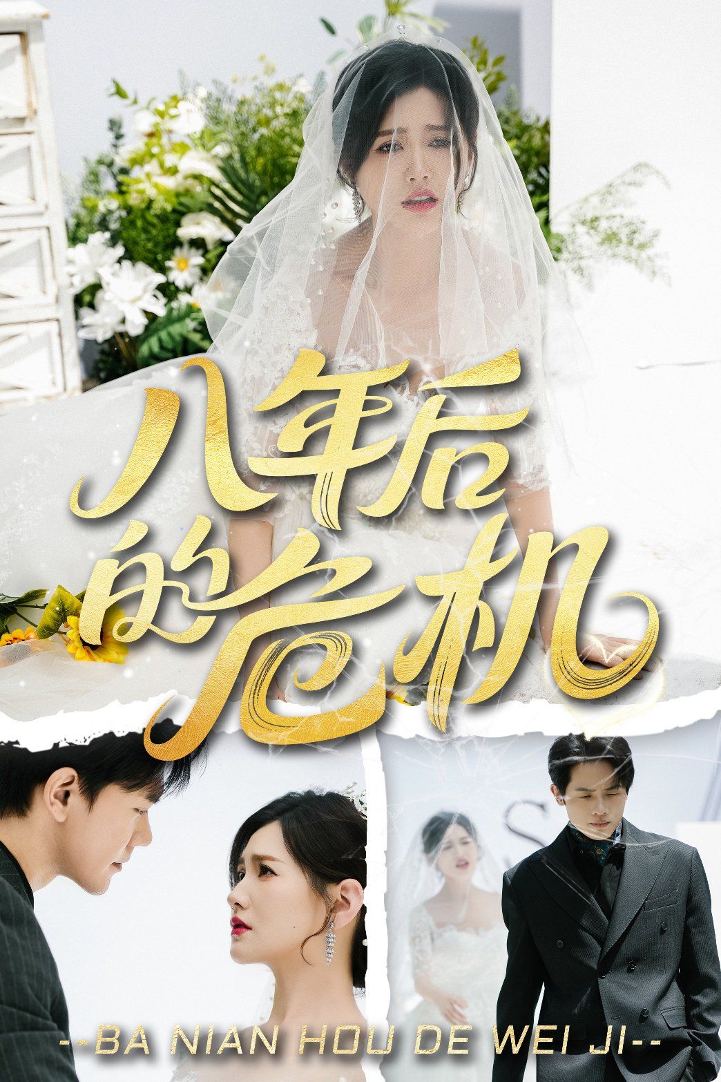 《八年后的危机》海报