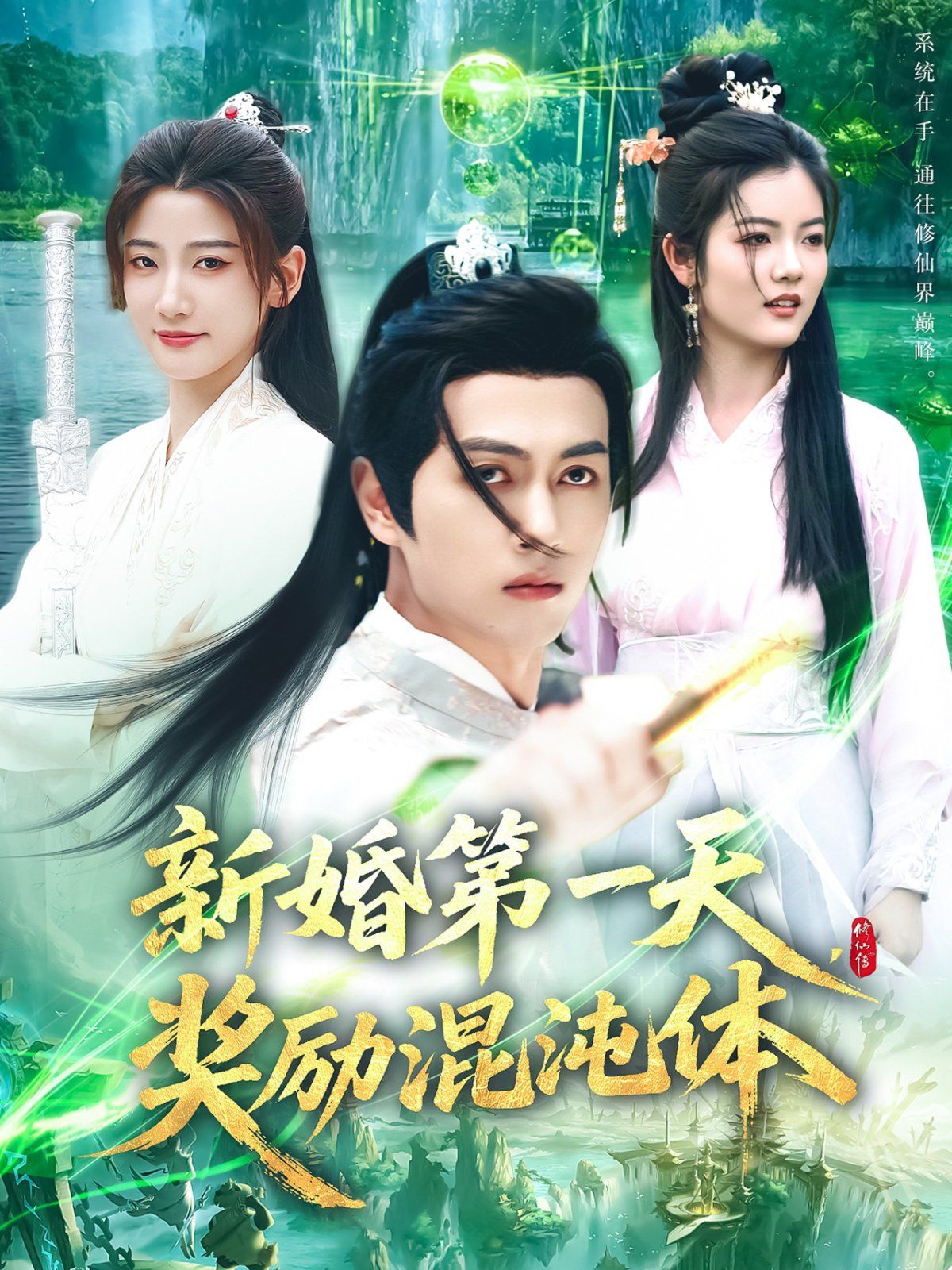 《新婚第一天奖励混沌体》海报