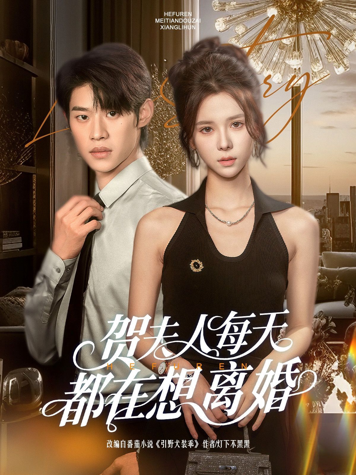 《贺夫人每天都在想离婚》海报